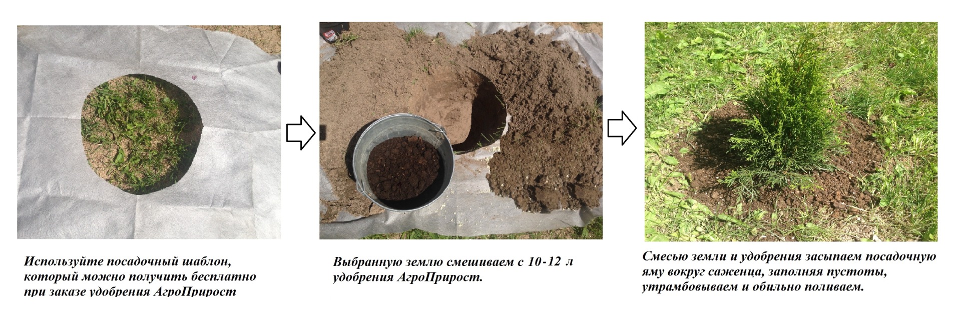 Удобрение почвы для деревьев Удобрение почвы для деревьев